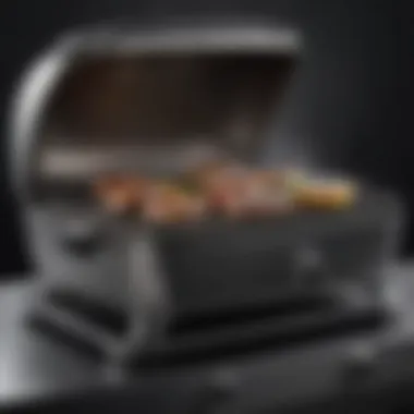 Magnificent Comprehensive Review of the PK 360 Grill