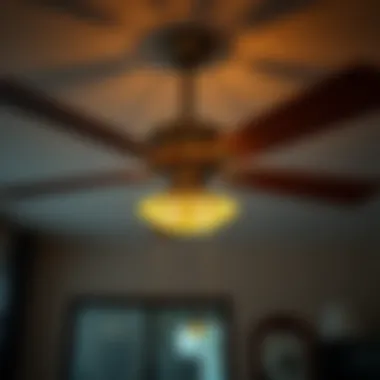 Magnificent Understanding the Direction of Ceiling Fans During Winter Magnificent Understanding the Direction of Ceiling Fans During Winter