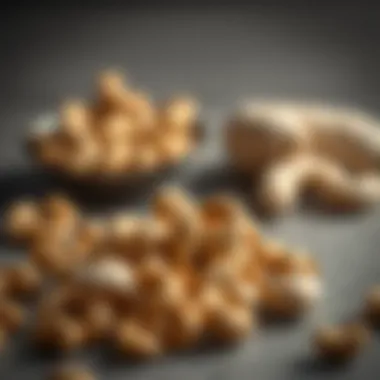 A Comprehensive Exploration of Peanuts and Cashews: Culinary and Nutritional Insights Summary A Comprehensive Exploration of Peanuts and Cashews: Culinary and Nutritional Insights Summary