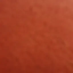 A close-up of vibrant apple leather showcasing its texture
