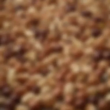 Nutrient-Dense Nuts and Seeds for Bulking A selection of nutrient-dense nuts and seeds