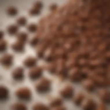 Luxurious Chocolate Coating Luxurious chocolate coating draping over pecan clusters