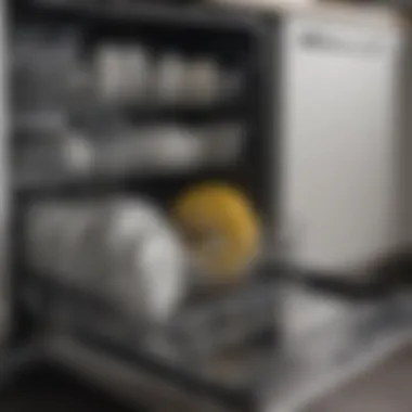 A gleaming dishwasher interior after thorough cleaning