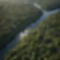 A vibrant aerial view of the Amazon rainforest showcasing dense greenery and waterways