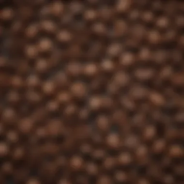 Flavor Profiles of Coffee Roasts A rich display of flavor profiles associated with different coffee roasts.