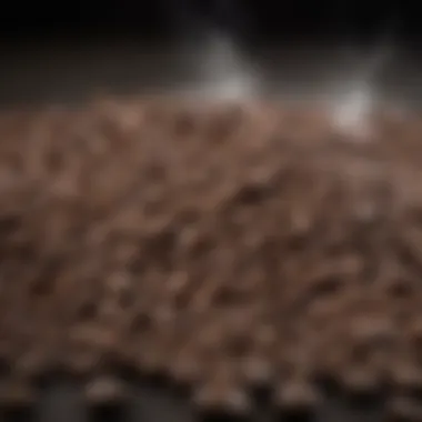 Diverse Coffee Roasts Comparison of coffee roasts showcasing light, medium, dark, and espresso varieties.