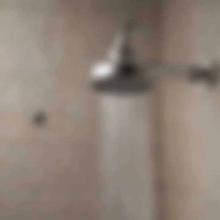 A well-maintained shower head in a modern bathroom