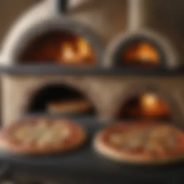 A side-by-side comparison of different models of two stone pizza ovens.