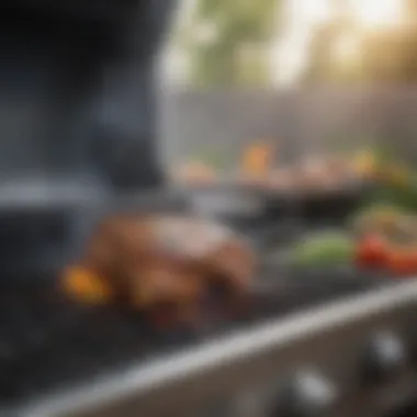 Comprehensive Review of the PK 360 Grill Introduction Comprehensive Review of the PK 360 Grill Introduction