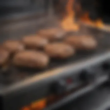 Comprehensive Review of the PK 360 Grill Summary