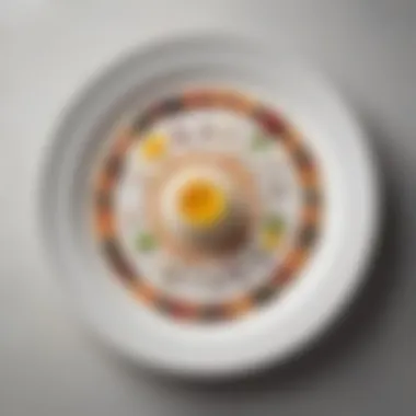 The Art of Plating Gourmet Dishes An artfully arranged plate of gourmet cuisine highlighting plating techniques.