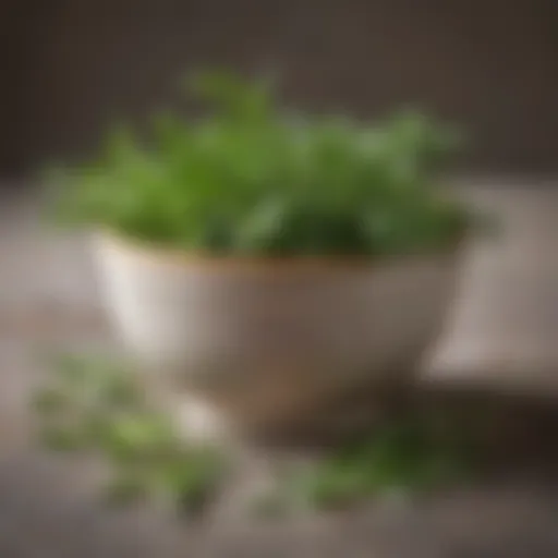 Ground tarragon in a small bowl with fresh tarragon leaves
