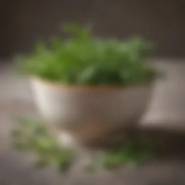 Ground Tarragon and Fresh Leaves Ground tarragon in a small bowl with fresh tarragon leaves