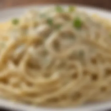 Creamy Alfredo Sauce Detail Close-up of creamy fettuccine alfredo sauce with parmesan cheese