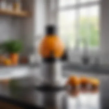 A Stylish Addition to Your Kitchen A well-maintained electric citrus juicer on a kitchen counter
