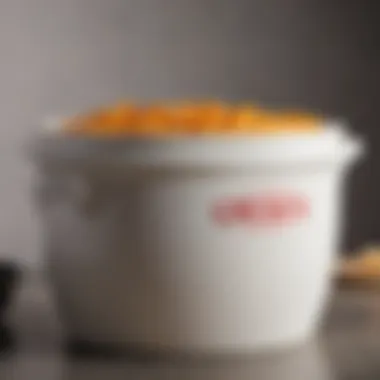 Ceramic Crock Features Close-up of a ceramic fermenting crock highlighting its lid and airlock features