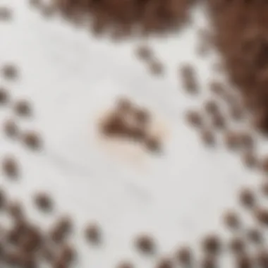 Coffee beans scattered on a white surface with a health chart in the background