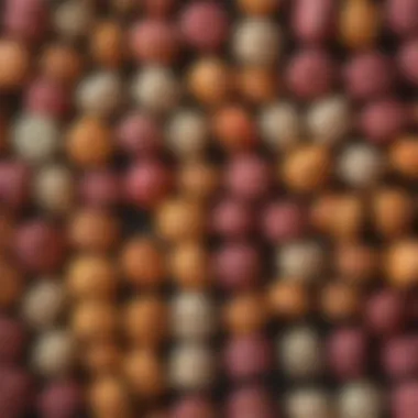 Exquisite Assortment of Macarons An assortment of macarons in various flavors