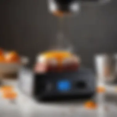 Mastering Temperature Control Precision temperature control in sous vide cooking