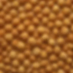 A vibrant display of gluten-free panko bread crumbs in various textures and colors