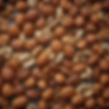 Nuts and Seeds: Crunchy Protein Boosts Variety of nuts and seeds emphasizing protein sources