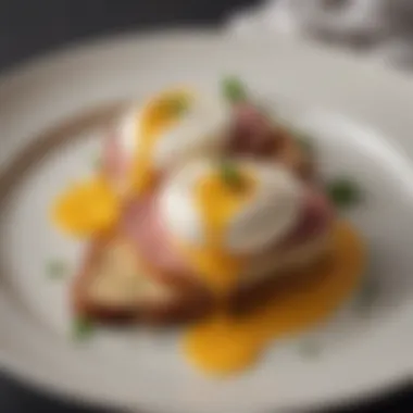 Hollandays Sauce with Poached Eggs A luxurious plate showcasing Hollandays sauce with poached eggs