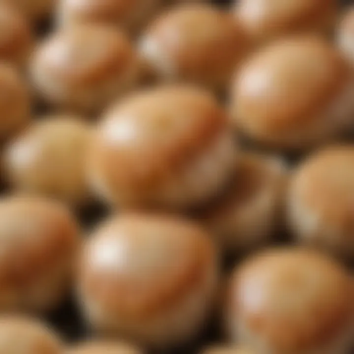 A close-up of fresh jumbo sea scallops showcasing their unique texture