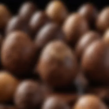 Intricate Designs in Chocolate Easter Eggs Artisan crafted chocolate Easter egg with intricate designs