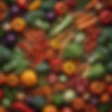 An assortment of colorful low-calorie vegetables