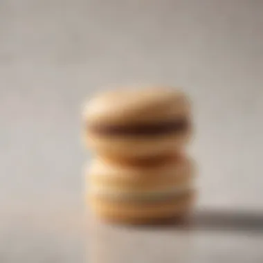 A close-up of a macaron showcasing its delicate texture.