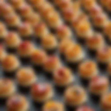 Intricate Designs of Bite-Sized Delicacies Close-up of artistic bite-sized delicacies showcasing intricate designs.