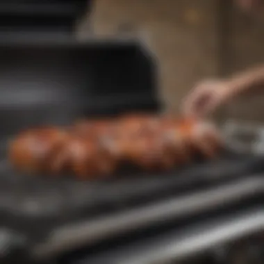 Close-up of rotisserie mechanism on a high-end grill