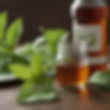 Natural Stevia Leaves and Syrup A detailed view of stevia leaves next to a syrup bottle