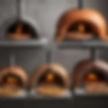 A comparison chart of different pizza oven types
