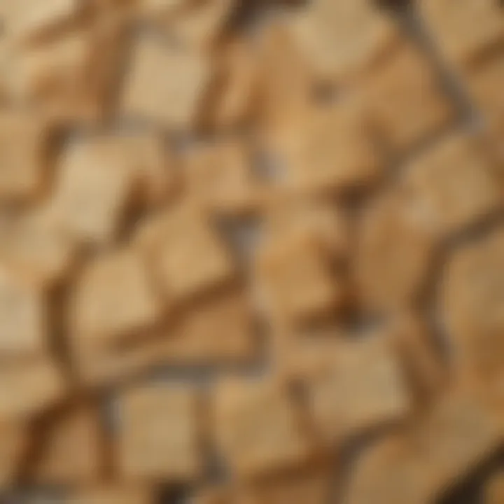 Close-up view of the texture and colors of homemade salt-free crackers