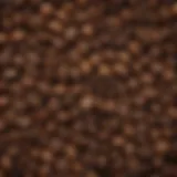 A close-up view of coffee beans highlighting their rich texture and color