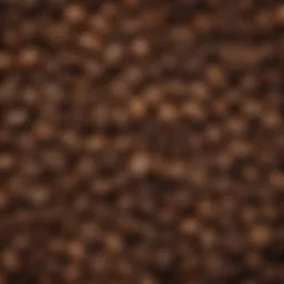 A close-up view of coffee beans highlighting their rich texture and color