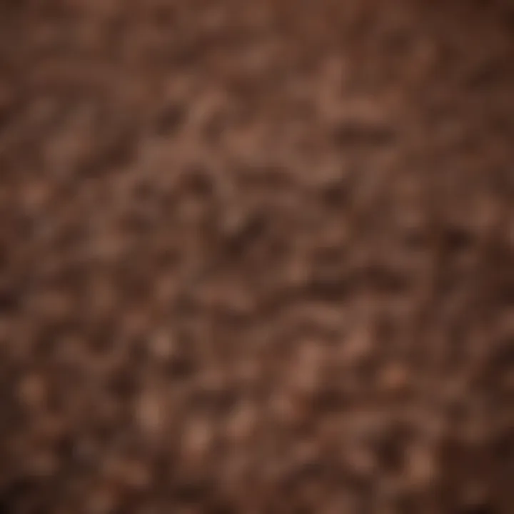 A close-up of coffee beans showcasing their rich texture and color.