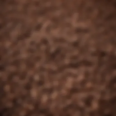The Rich Texture of Coffee Beans A close-up of coffee beans showcasing their rich texture and color.
