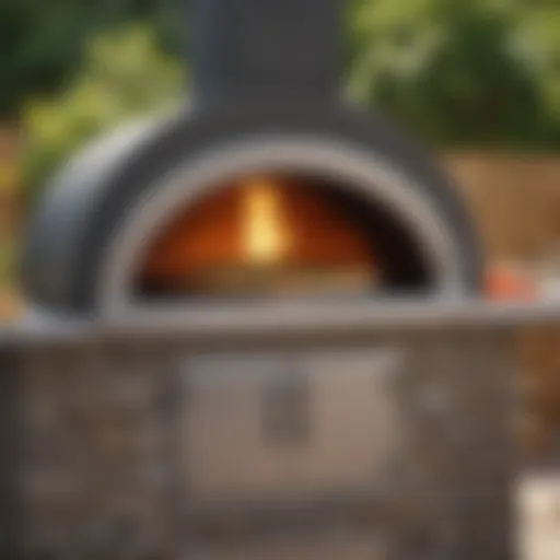 A beautifully crafted propane pizza oven showcasing its sleek design and functionality