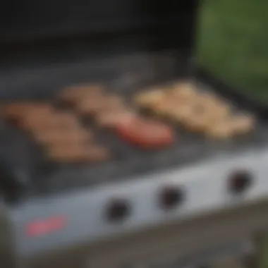 Functionality Features of Coleman Round Trip Grill A close-up of the grill's functionality showcasing its various features and controls.