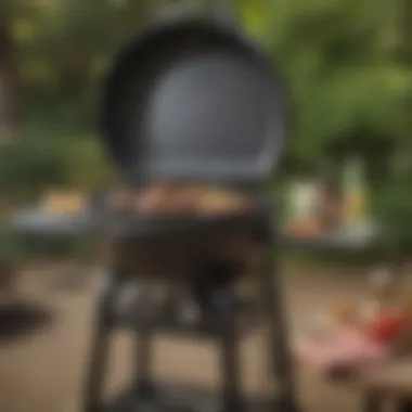 Maintenance Tips for Coleman Round Trip Grill Maintenance essentials for the grill, including tools and tips for upkeep.