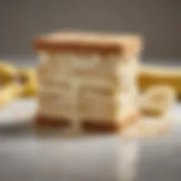 A beautifully assembled banana ice cream sandwich showcasing layers of flavor
