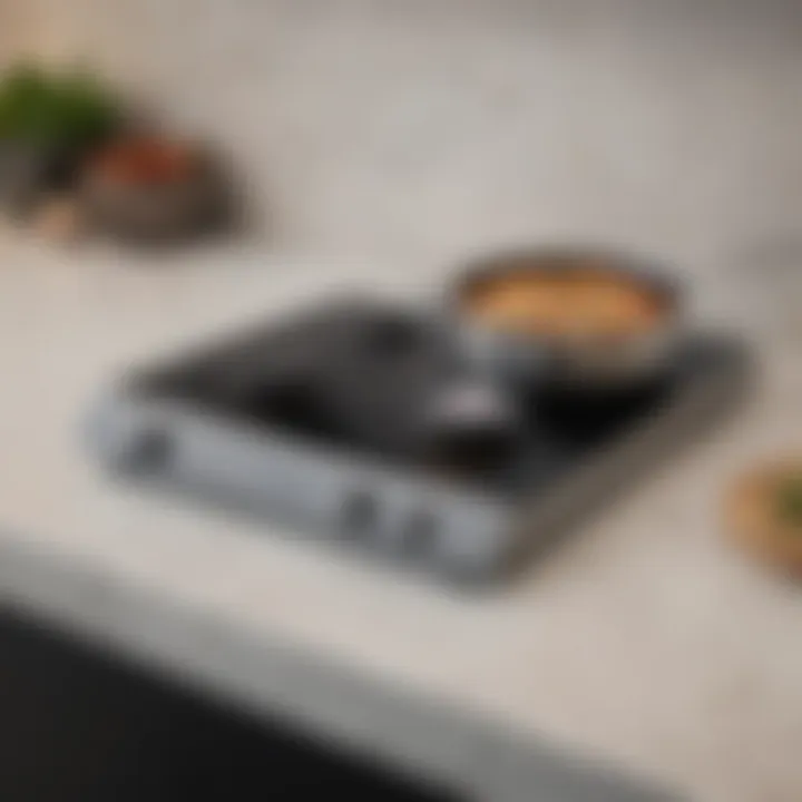 Sleek design of a double induction burner on a countertop