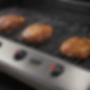 Heating Controls of the George Foreman Electric Grill Close-up of heating controls on the grill