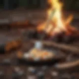 Innovative telescopic marshmallow fork extended over a campfire