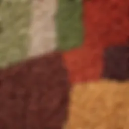 A vibrant display of assorted beans in various colors and shapes.