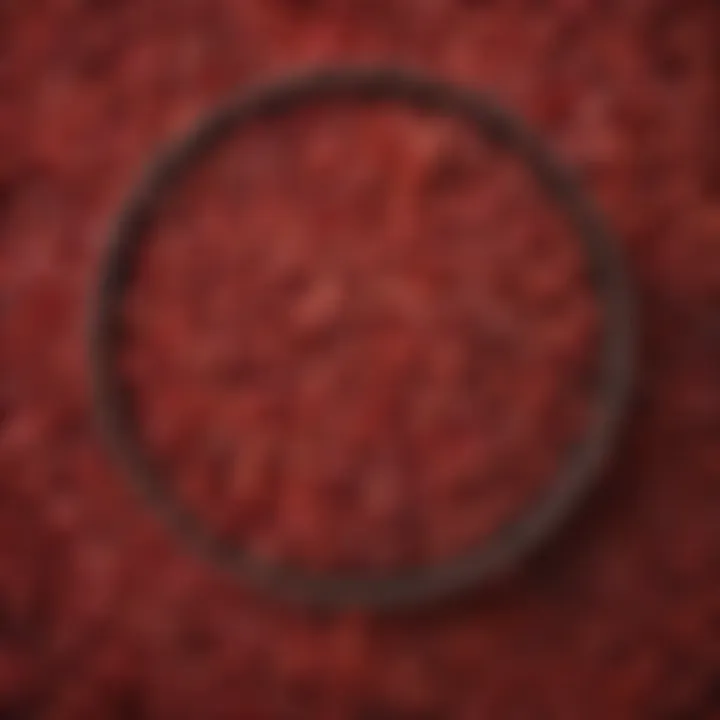 Close-up of a bowl filled with kidney beans, showcasing their rich red hue.