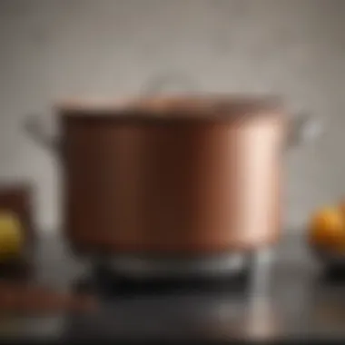 A large stock pot showcasing its sturdy construction and sleek design.