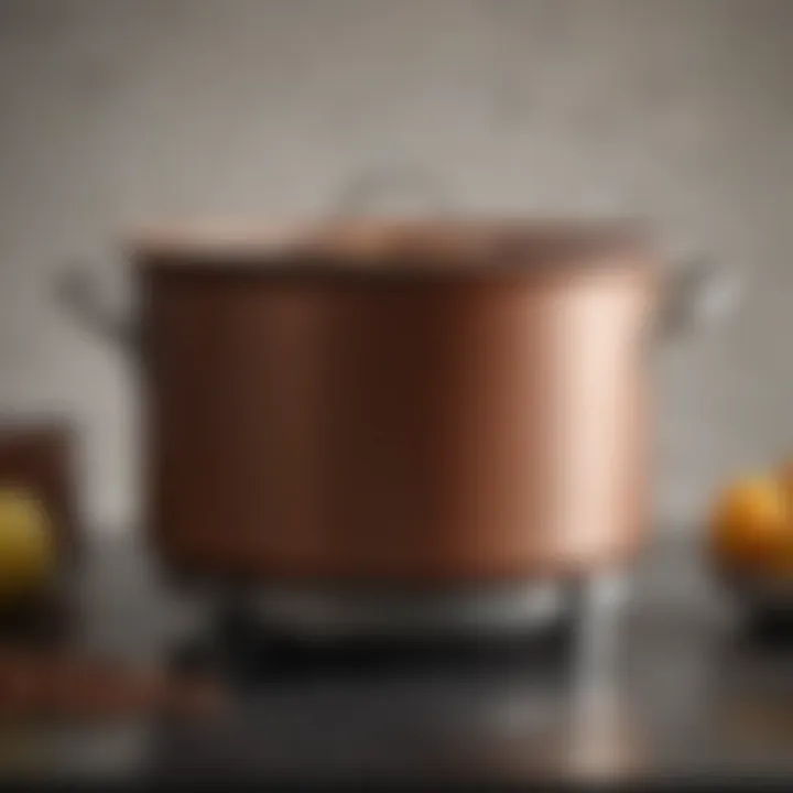 A large stock pot showcasing its sturdy construction and sleek design.